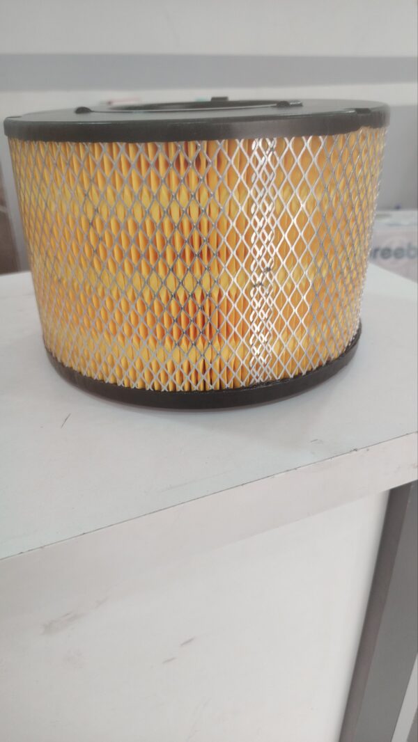 FILTER AIR GONOW PICK UP